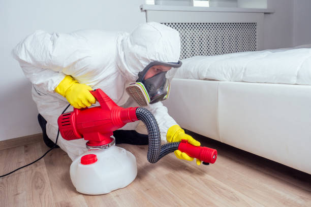 Best Bed Bug Extermination  in New Baden, IL